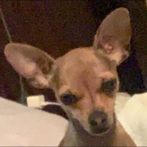 Meet your Posher, Marissa